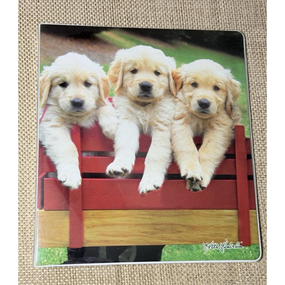 Vtg Class Act Binder Lot Puppy Keith Kimberlin 1